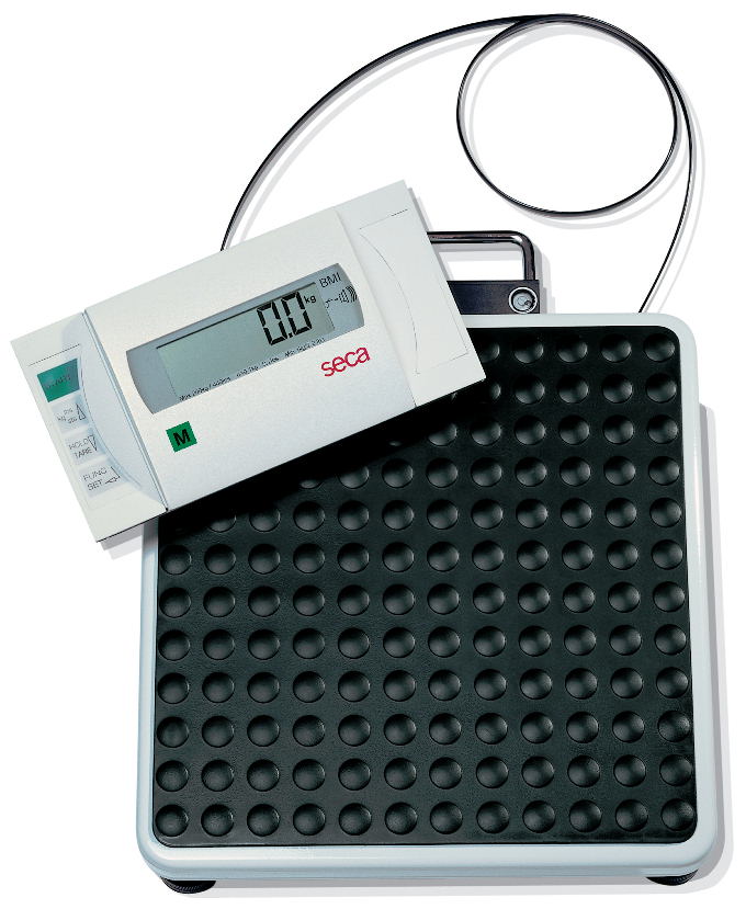 Seca 862 Flat Scale