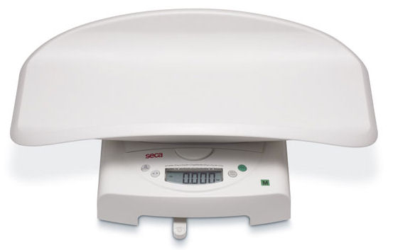 Seca 384 Scale